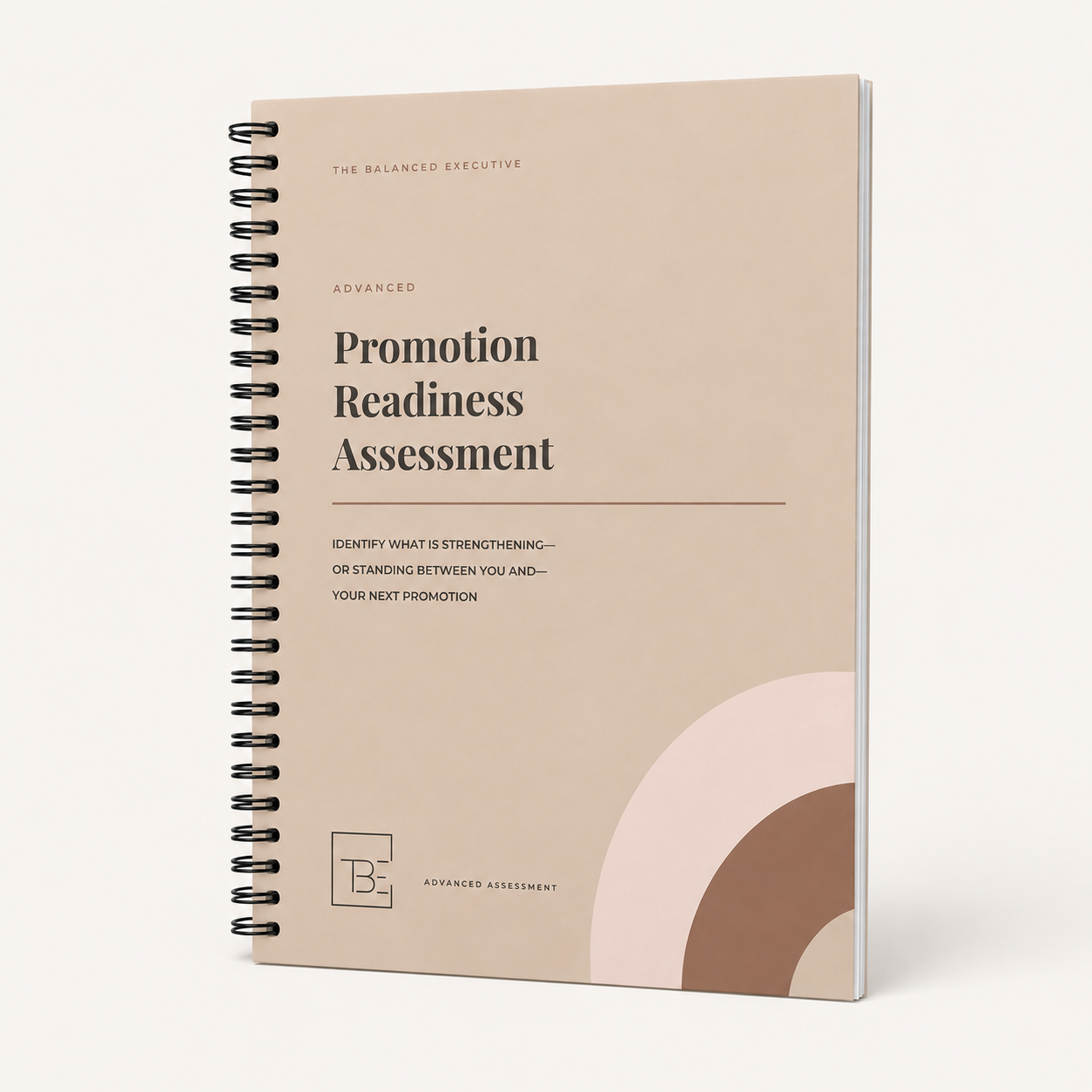 Advanced Promotion Readiness Assessment